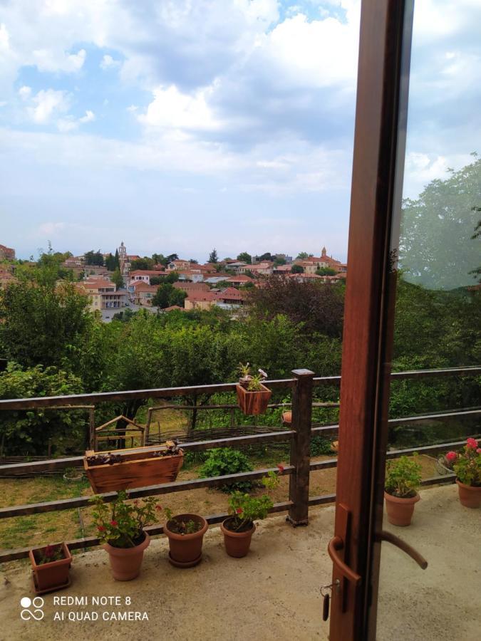 Guest House David Sighnaghi Luaran gambar