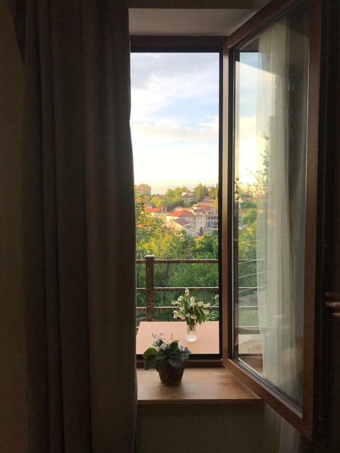 Guest House David Sighnaghi Luaran gambar